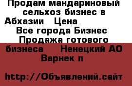 Продам мандариновый сельхоз-бизнес в Абхазии › Цена ­ 1 000 000 - Все города Бизнес » Продажа готового бизнеса   . Ненецкий АО,Варнек п.